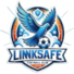 济南林凯赛福logo